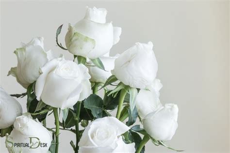 White Rose Meaning Language Of Flowers | Best Flower Site