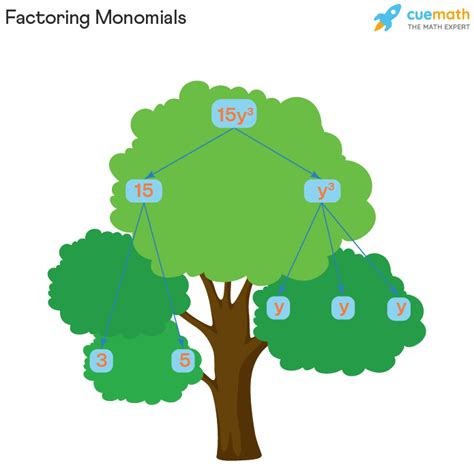 30+ degree of monomial calculator - NantichaRares