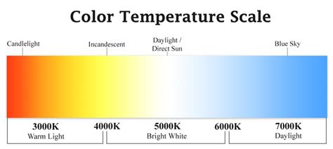 Which is the Best Color Light for Reading | Glocusent