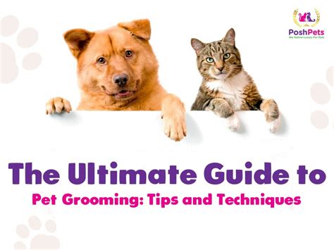 The Ultimate Guide to Pet Grooming: Tips and Techniques