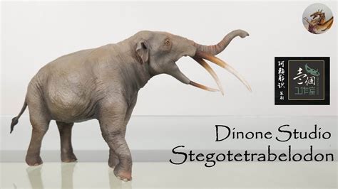 211: Dinone Studio Stegotetrabelodon Review - YouTube