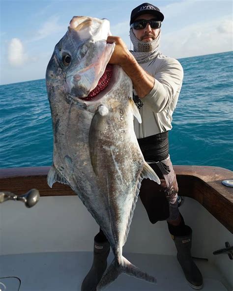 African Pompano Fishing- Tips and Techniques