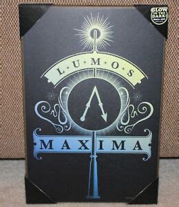 HARRY POTTER LUMOS MAXIMA GLOW WOOD WALL ART - 13 X 19 inches ...