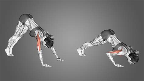Pike Push-Ups: Benefits, Muscles Worked, and More - Inspire US