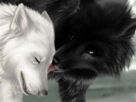 Black Wolf Wallpapers HD - Wallpaper Cave