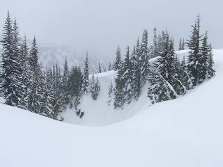 Blunoz Random Ramblings: Snowshoeing on Mount Rainier