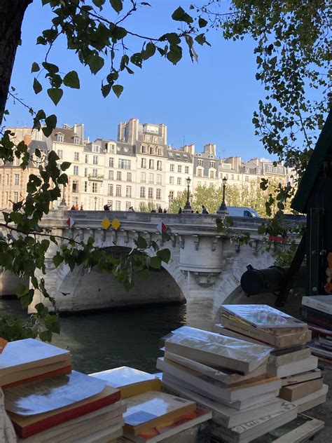 Dr Naomi on Twitter: "RT @BFleurot: Lumière romantique des quais de Seine , sur le Pont Neuf ...