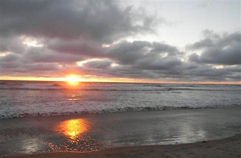 Del Mar Dog Beach Photograph by Brionna Robbins - Pixels