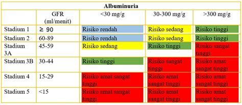 Prognosis Penyakit Ginjal Kronis - Alomedika