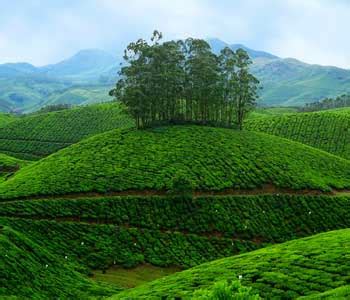 Golden Triangle Tour from Kerala