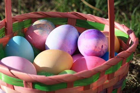 Colored Eggs in Easter Basket – Photos Public Domain