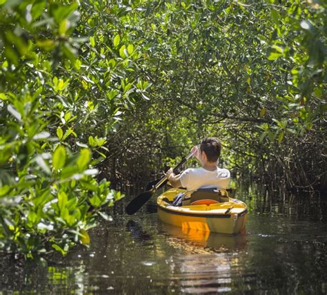 Kayaking in Everglades National park, Florida, USA — Stock Photo ...