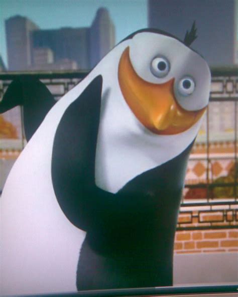 Image - Cute-Rico-penguins-of-madagascar-11603960-1024-1280.jpeg | Madagascar Wiki | FANDOM ...