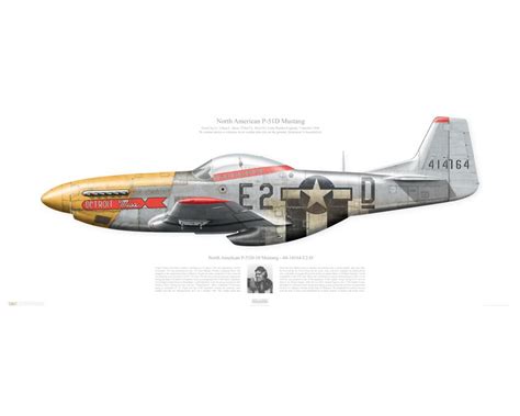 Aircraft profile print of P-51D Mustang "Detroit Miss" - 44-14164 / E2 ...