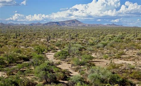 Pima Dynamite Trailhead | 5 New Hiking Trails in Scottsdale