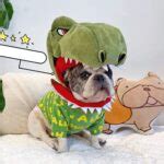 French Bulldog Dinosaur/Shark Headgear Costume - Frenchie World Shop
