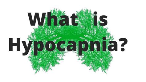 What is Hypocapnia? Its uses and side effects. | Breathwork Education with Jesse Coomer - YouTube