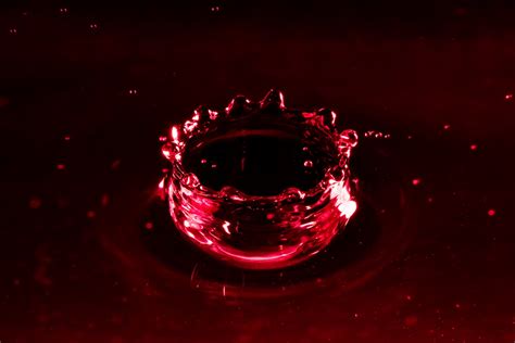 4 Macro Photography Tips For Shooting Water - Photography Blog Tips ...