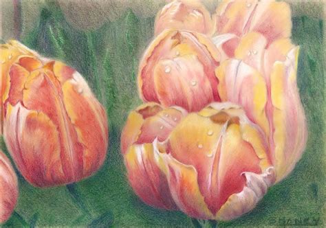 Colored Pencil Landscape Drawing: Online Class - The Flower City Arts Center