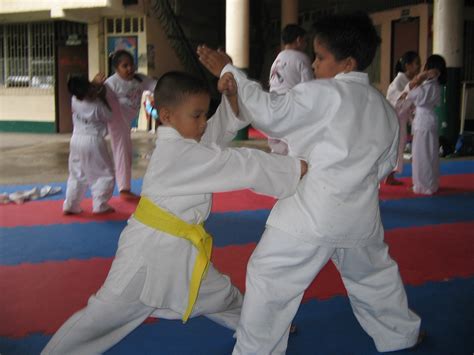 File:JJS Karate Kids on Training.jpg - Wikimedia Commons