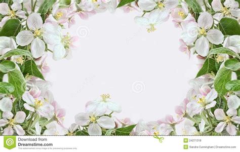 Apple blossom borders on pink background. Spring apple blossom borders on pink b #Sponsored , # ...