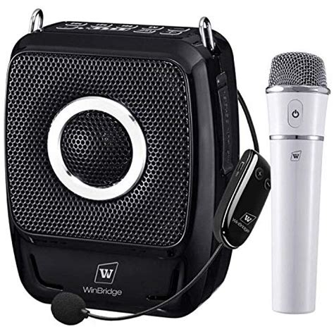 Buy Portable Pa System Speaker with Dual Wireless Microphones, 25W 5200mAh Rechargeable 5.0 ...