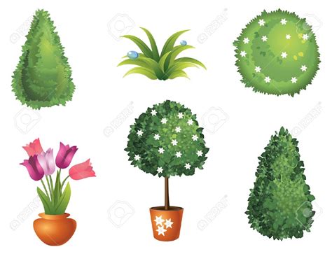 Bush Vector at Vectorified.com | Collection of Bush Vector free for ...