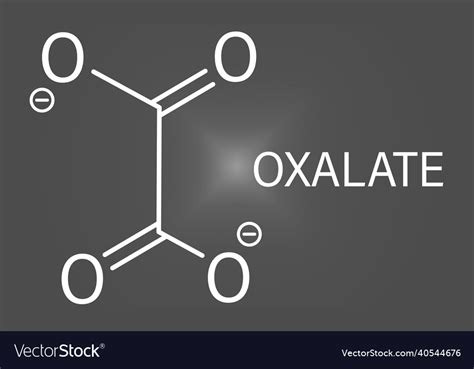 Oxalate anion chemical structure skeletal formula Vector Image