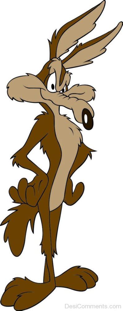 Wile E. Coyote Pic - Desi Comments