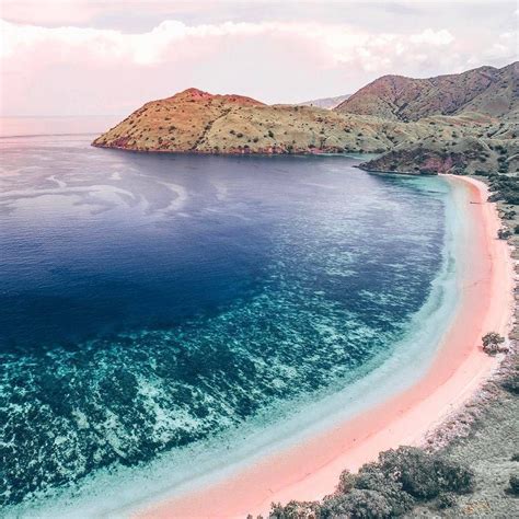 SHE IS FOUND STUDIO | WANDERLUST via @theleaguewomen | Komodo national park, Komodo island, Pink ...