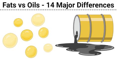 Fats vs Oils- Definition, 14 Major Differences, Examples