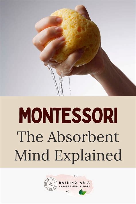 The Absorbent Mind by Maria Montessori Explained - What is it and how ...