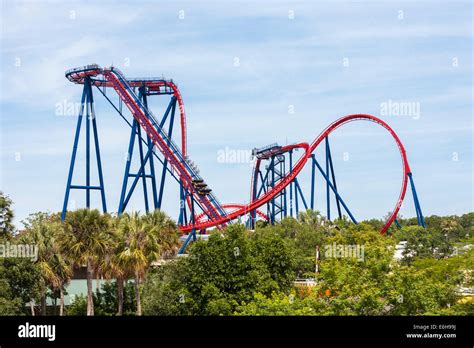 SheiKra roller coaster at Busch Gardens theme park in Tampa, Florida ...