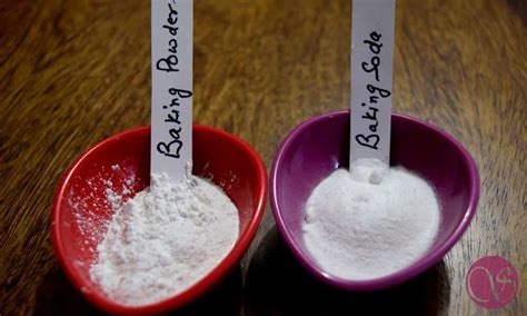 Difference between baking soda and baking powder - sdkum