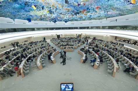 UN Human Rights Council | ISHR