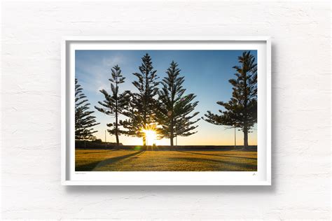 Coogee Beach Walk | Coogee Pine Sunrise - Gotthewanderingeye