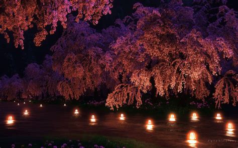 Cherry Blossom Tree at Night Wallpapers - Top Free Cherry Blossom Tree at Night Backgrounds ...