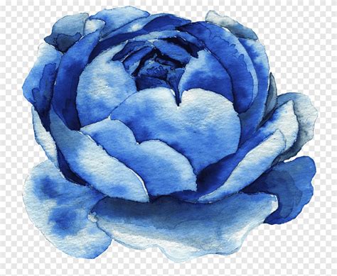 Blue petaled flowers illustration, Watercolor painting graphy, Blue watercolor flowers, blue ...