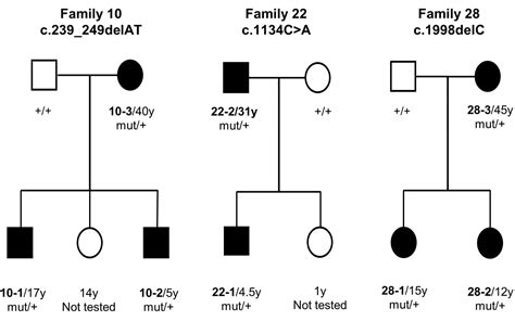 Newly identified genetic mutation results in intellectual disability ...