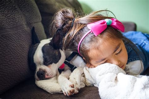 Children Sleeping With Their Dogs Maintain Good Sleep Quality as Those ...