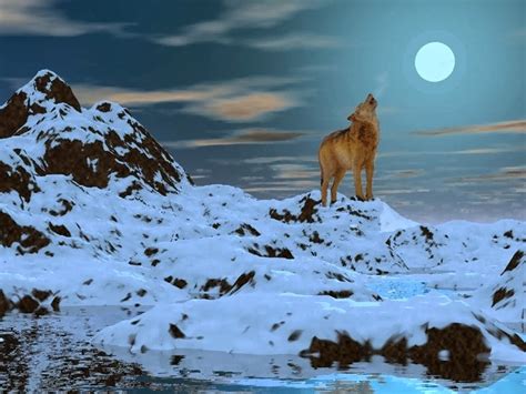 White Wolf : Running Wolves Moon 2015: What You Need to Know About Super-Rare December's Full Moon