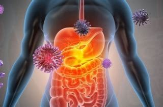 COVID-19 Research: Disruption Of Gut Microbiome Could Be Also Be A Contributing Factor To ...