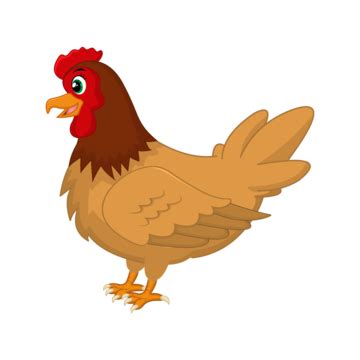 Chicken Cartoon Hen Vector Art PNG Images | Free Download On Pngtree