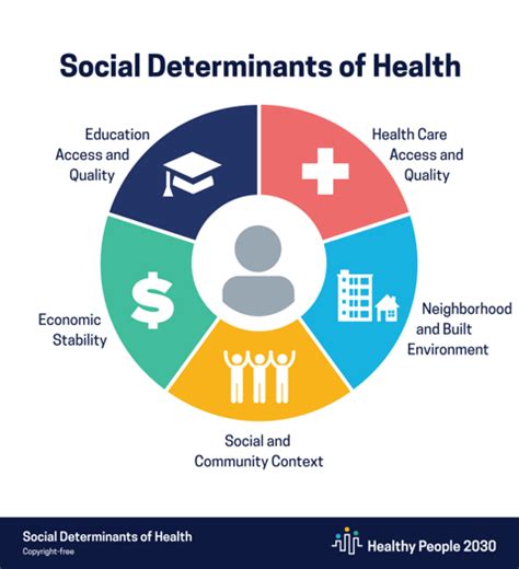 What are the 5 Main Domains of Social Determinants of Health?