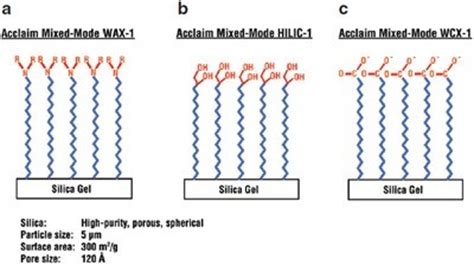 A Weak Cation-Exchange, Reversed-Phase Mixed-Mode HPLC Column and its ...