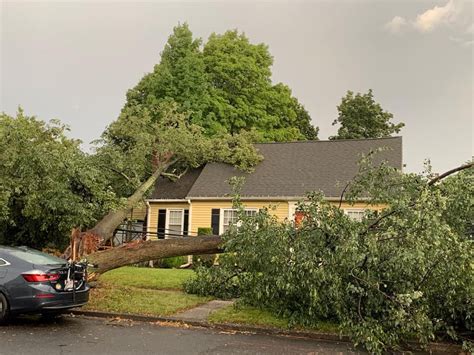 Thursday storms caused damage in Massachusetts as trees, limbs and ...