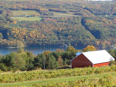 Keuka Lake at Bully Hill Winery - FLL360.COM