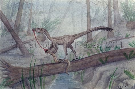 Prehistoric Beast of the Week: Troodon: Prehistoric Animal of the Week