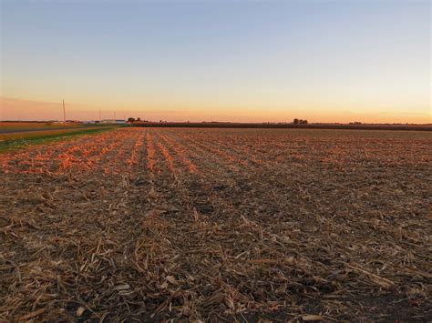 Cornfield sunset - Champaign-Urbana Symphony Orchestra