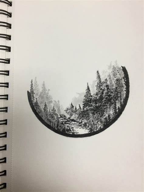 Pen and ink sketch of a forest scene : r/drawing